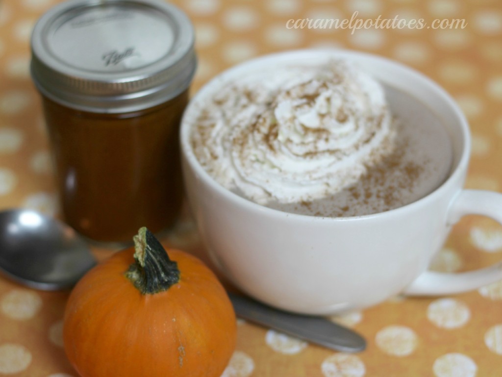Pumpkin Spice Hot Chocolate