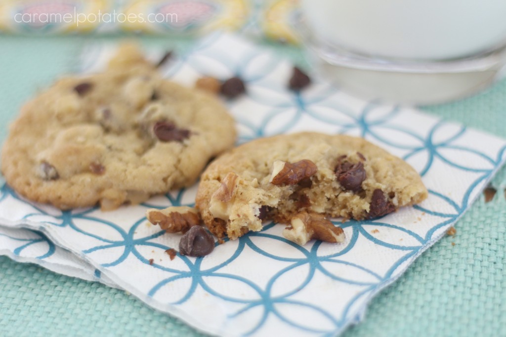 Chewy Chocolate Chip Walnut Cookies Chewy Chocolate Chip Walnut Cookies